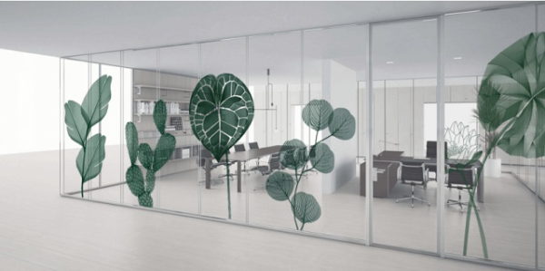 Hình ảnh decal dán kính